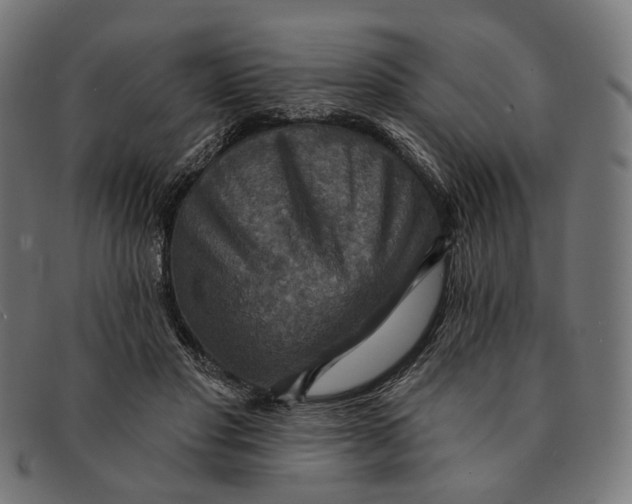 X0000091460501200709131736