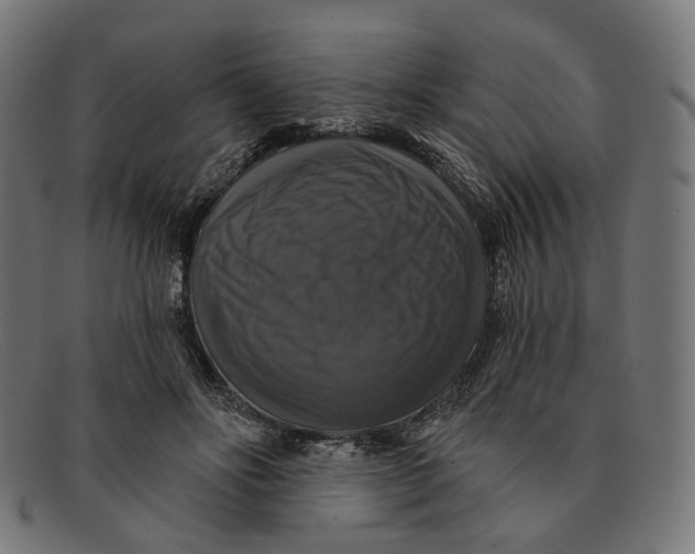 X0000091460502200709131736