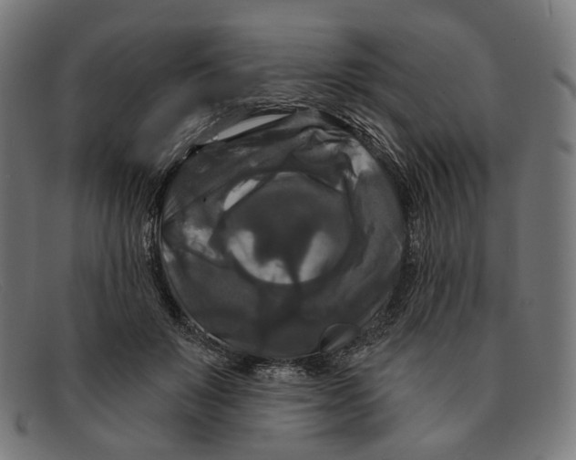 X0000091460503200709131736