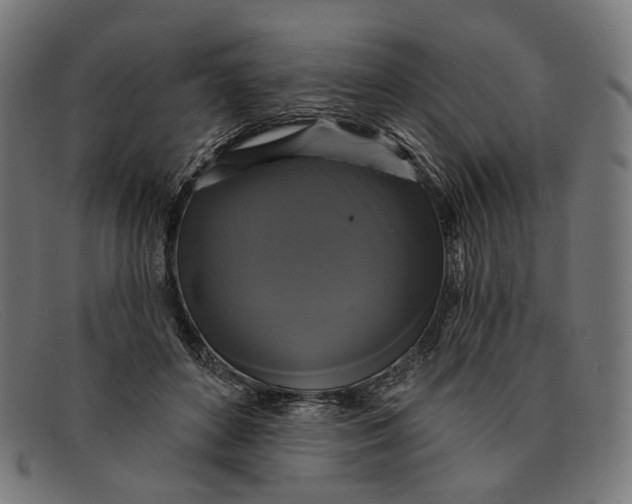 X0000091460504200709131736