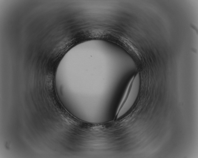X0000091460505200709131736
