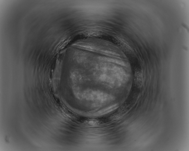 X0000091460506200709131736
