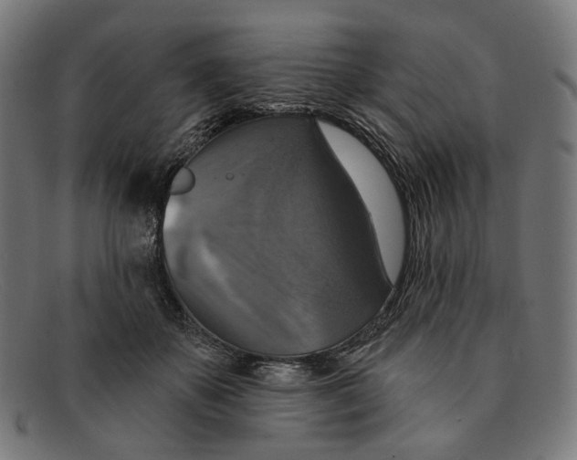 X0000091460507200709131736