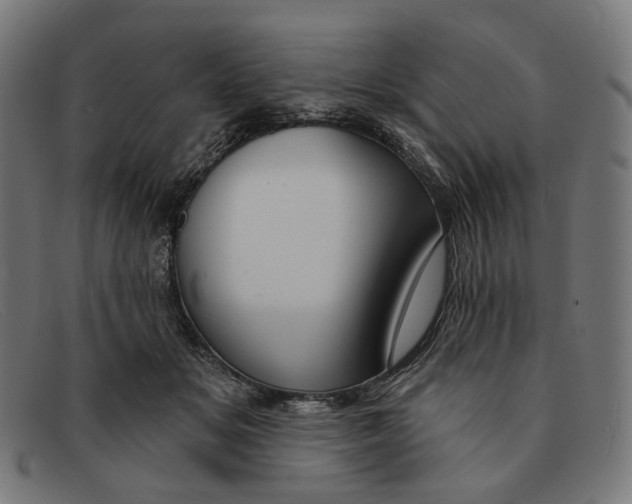 X0000091460509200709131736