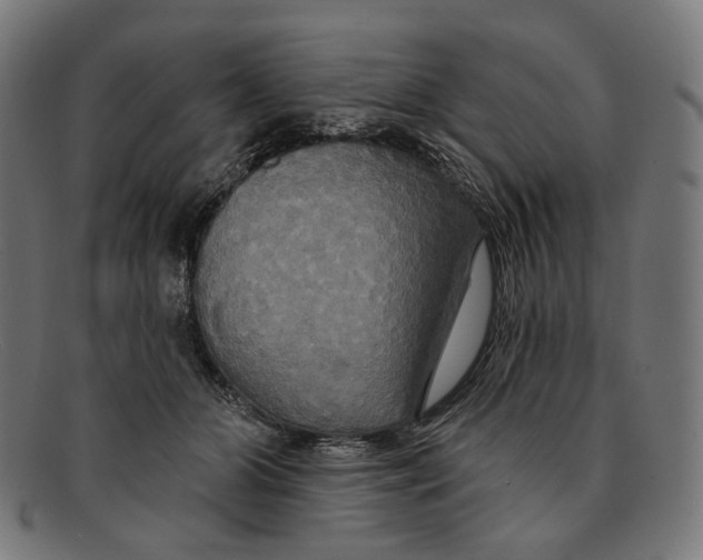 X0000091460510200709131736