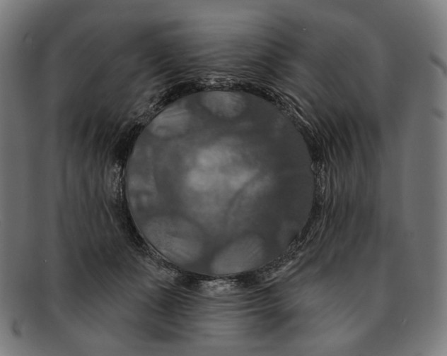 X0000091460511200709131736