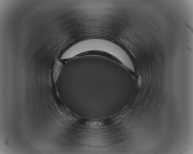 X0000091460512200709131736