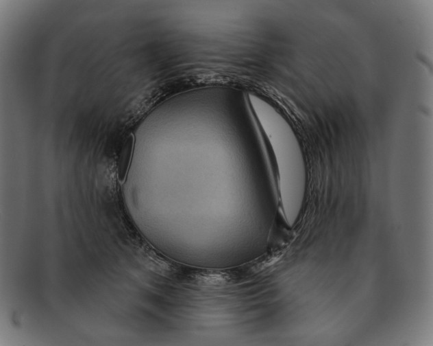 X0000091460513200709131736