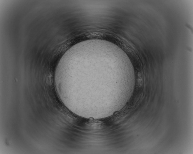 X0000091460514200709131736