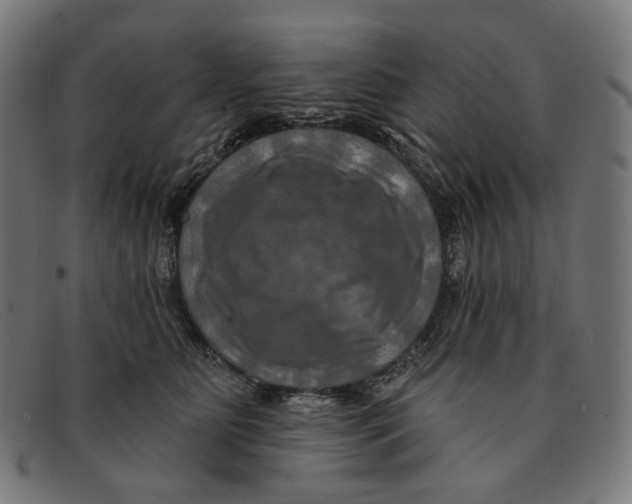 X0000091460515200709131736