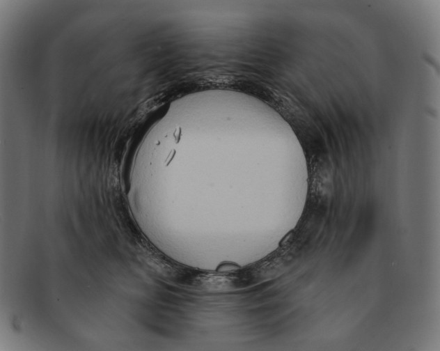 X0000091460518200709131736