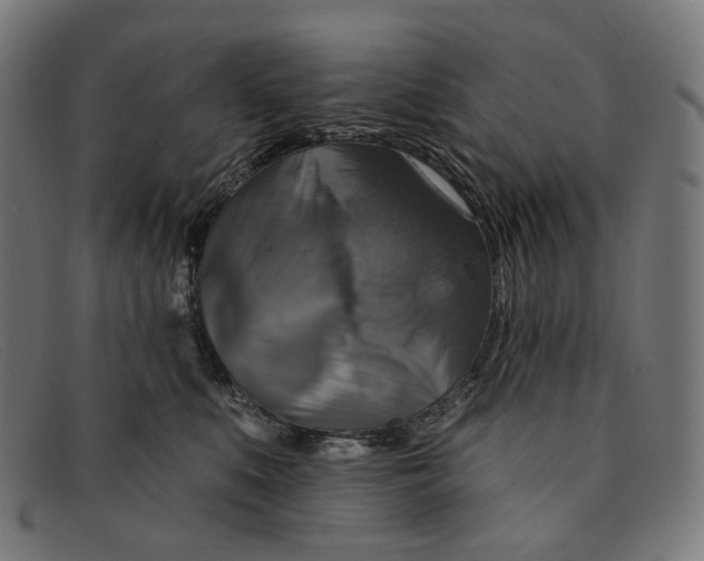 X0000091460519200709131736