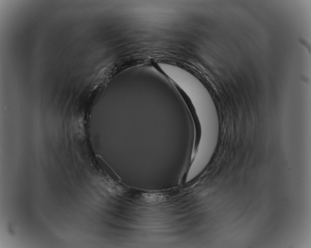X0000091460520200709131736