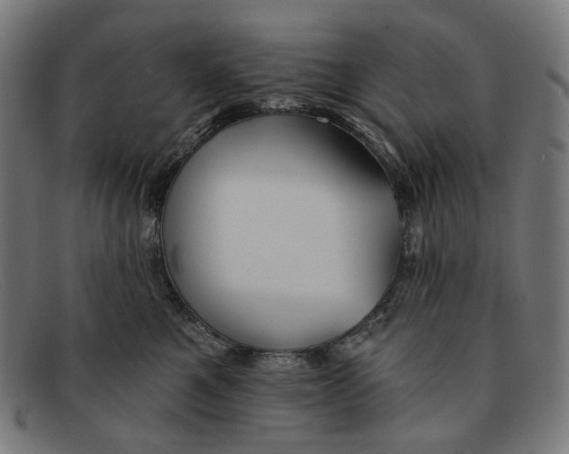 X0000091460521200709131736
