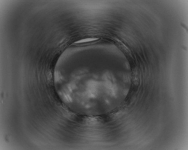 X0000091460523200709131736