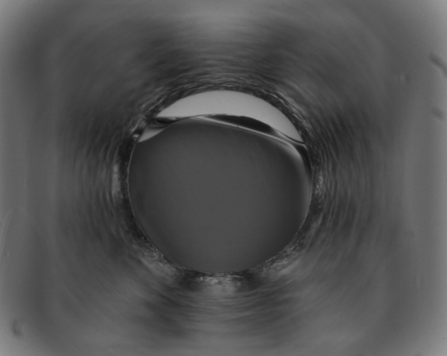 X0000091460524200709131736