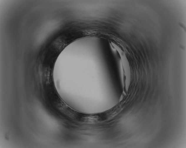 X0000091460525200709131736