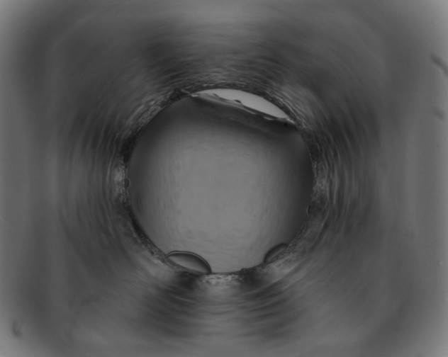 X0000091460526200709131736