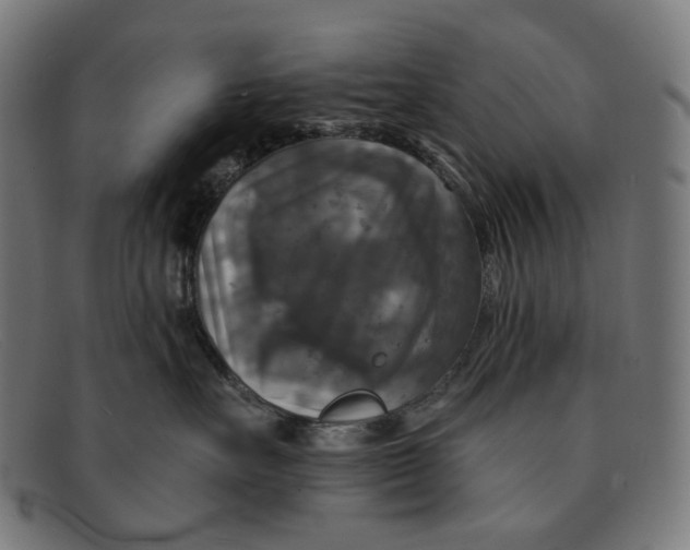 X0000091460527200709131736
