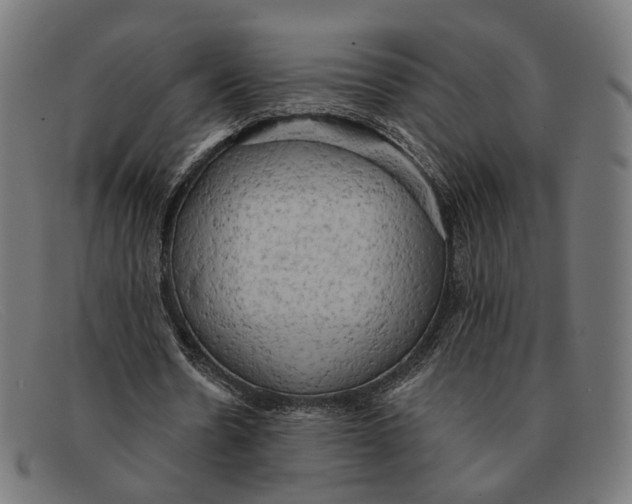 X0000091460530200709131735
