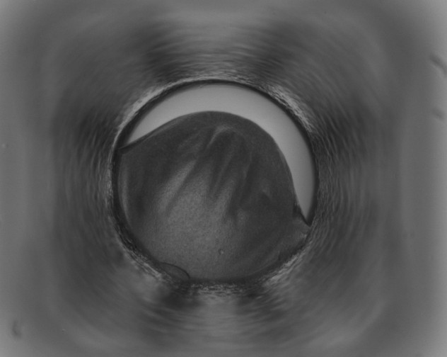 X0000091460532200709131735