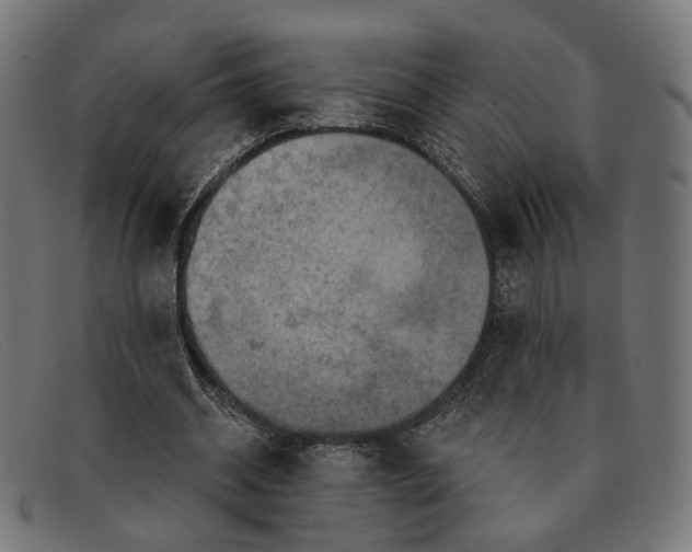 X0000091460534200709131736