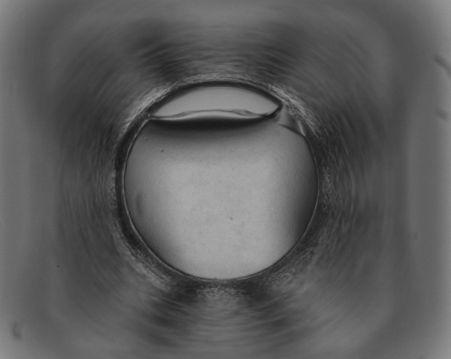 X0000091460535200709131736