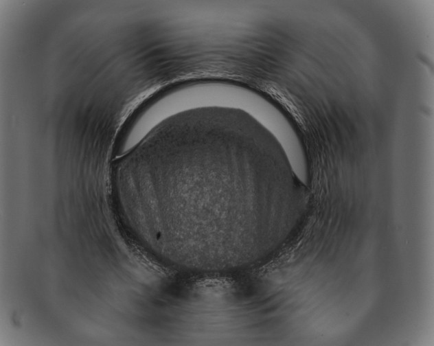 X0000091460536200709131736