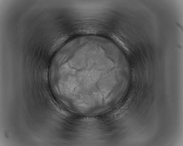 X0000091460537200709131736