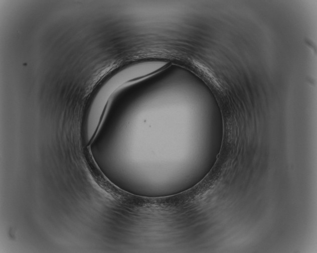 X0000091460538200709131736