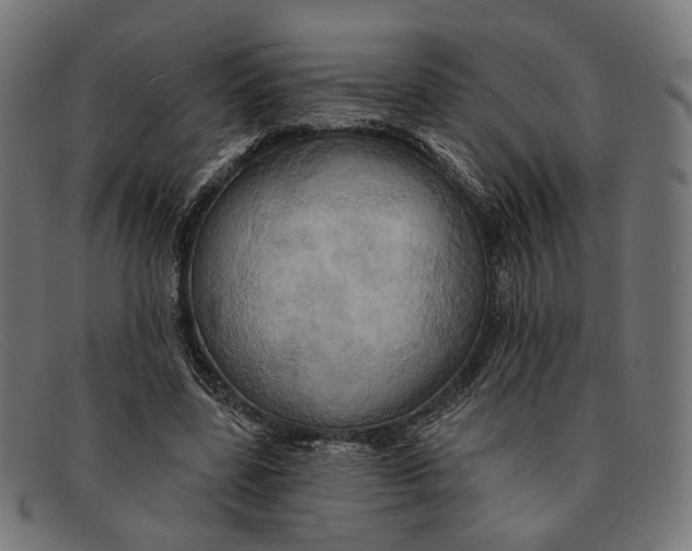 X0000091460539200709131736