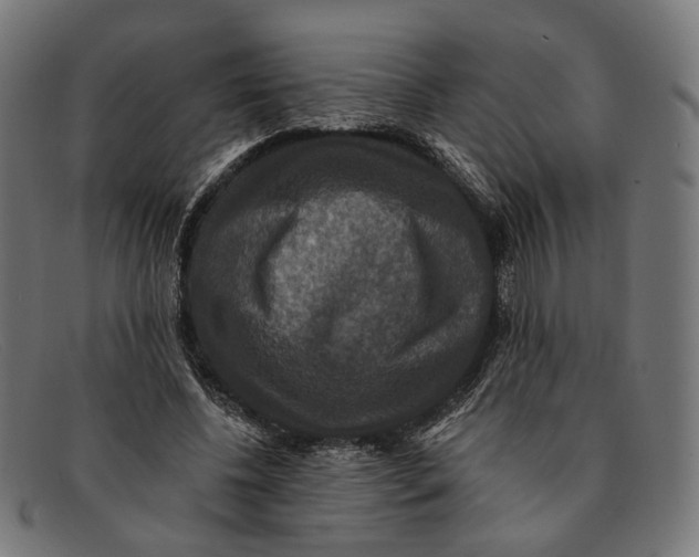 X0000091460540200709131736