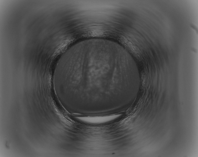 X0000091460542200709131736