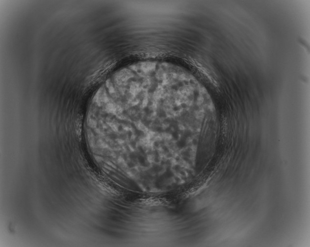 X0000091460545200709131736