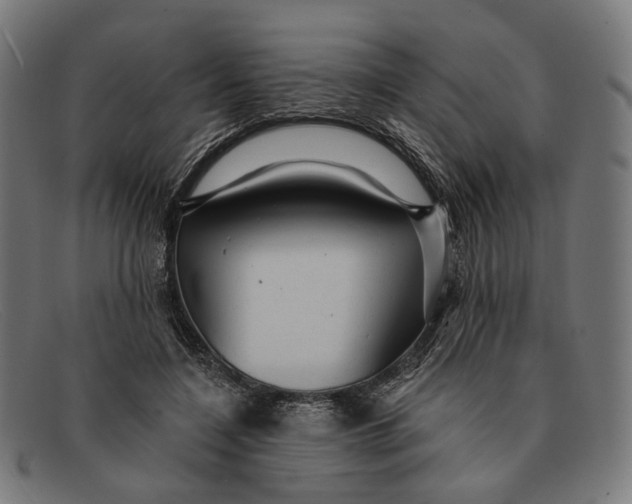 X0000091460548200709131736