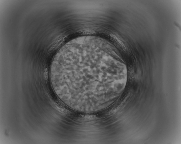 X0000091460549200709131736
