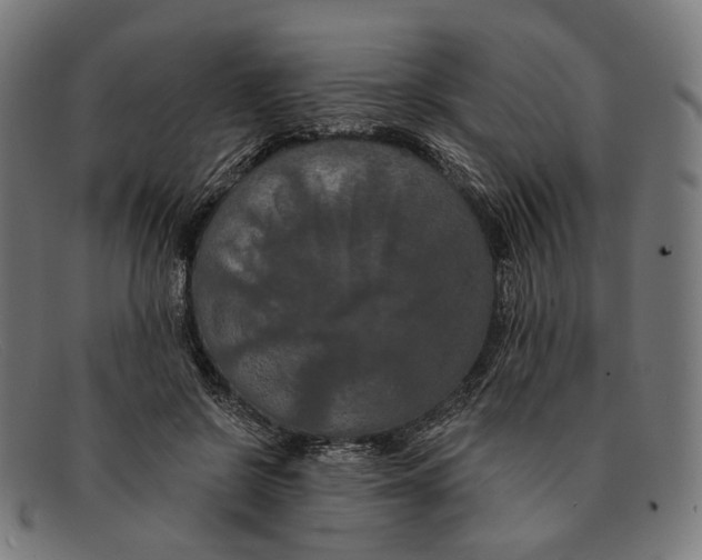 X0000091460550200709131736