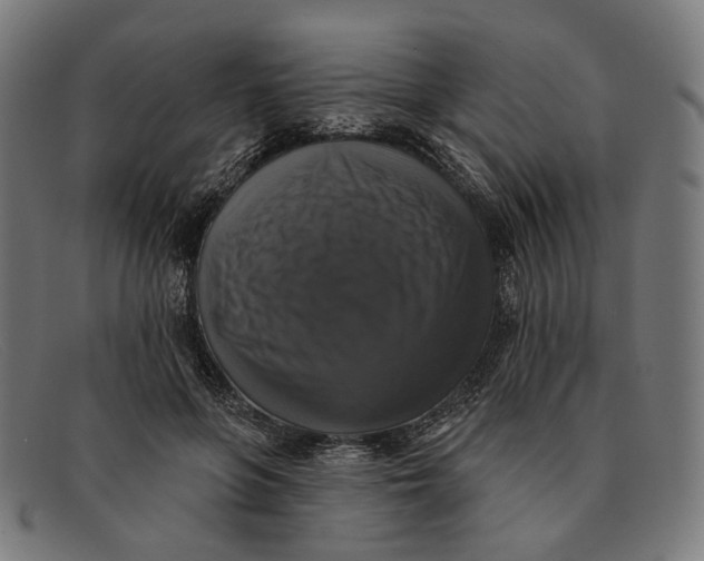 X0000091460551200709131736