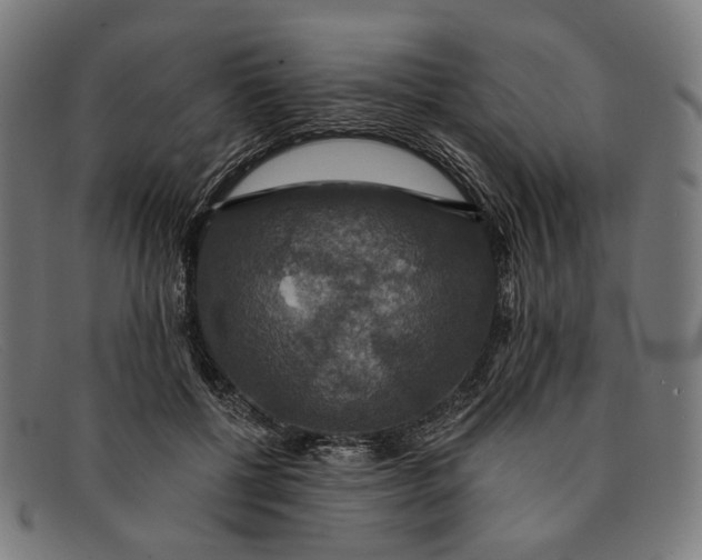 X0000091460552200709131736