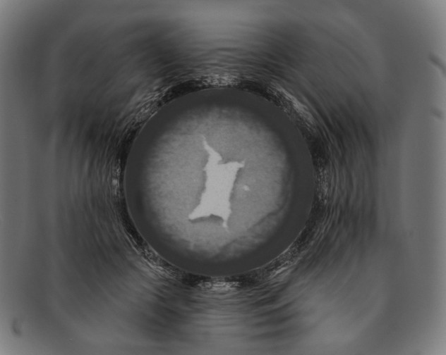 X0000091460553200709131736