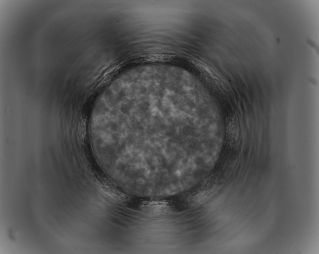 X0000091460554200709131736