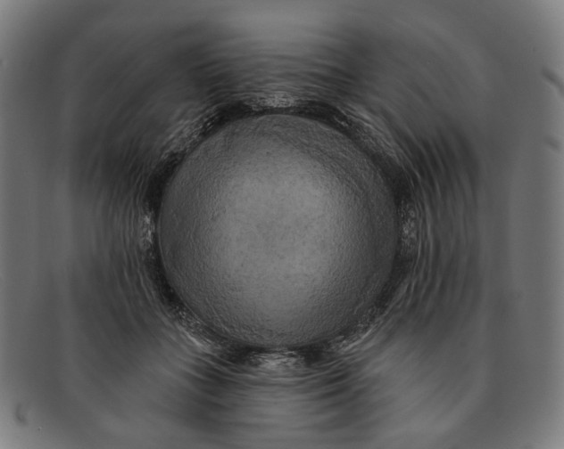 X0000091460555200709131736