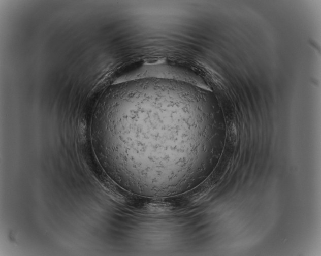 X0000091460556200709131736