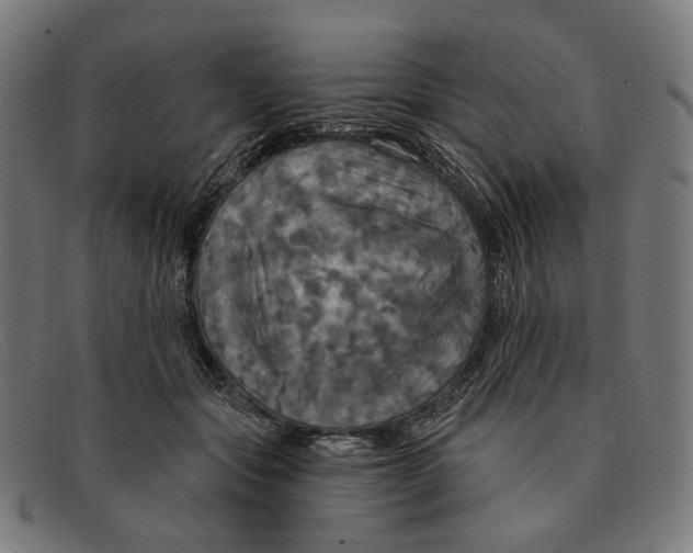 X0000091460557200709131736