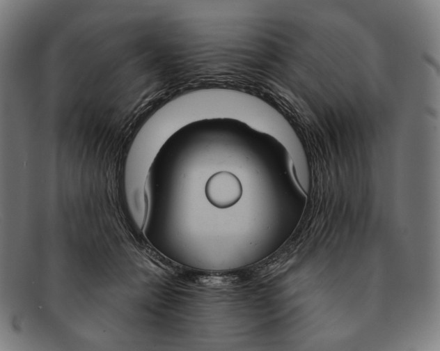 X0000091460558200709131736