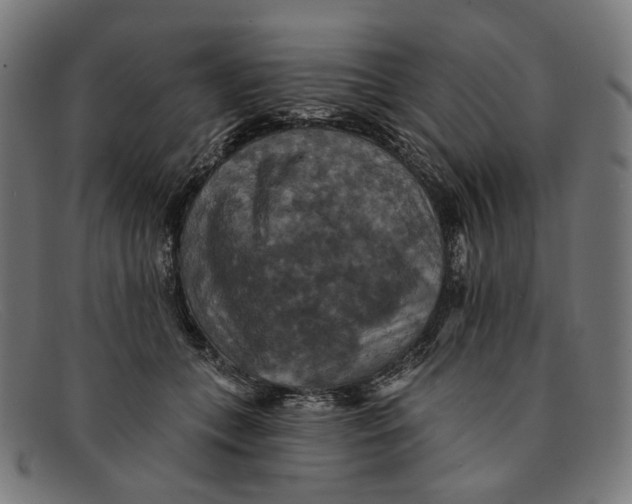 X0000091460559200709131736