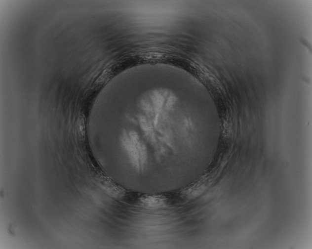 X0000091460561200709131736
