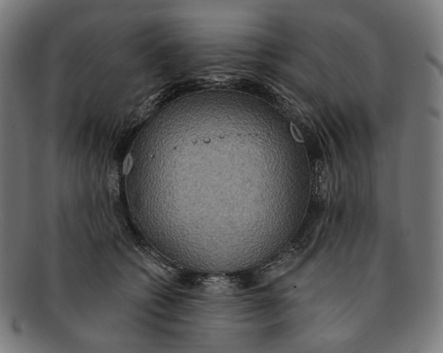 X0000091460562200709131736