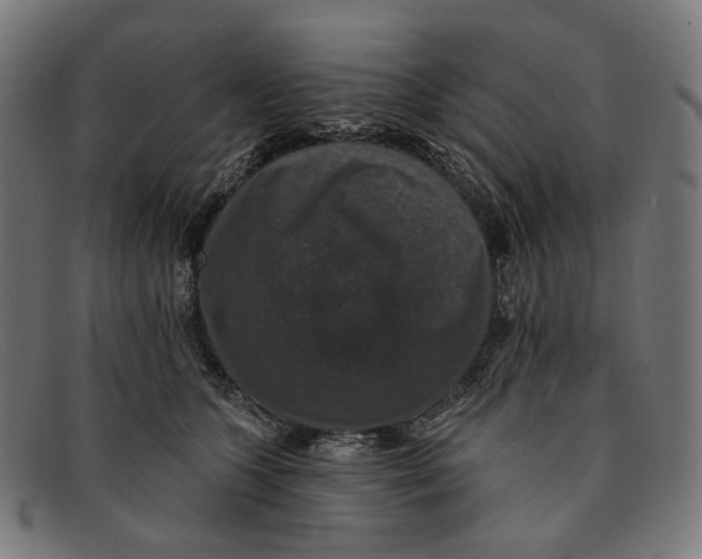 X0000091460563200709131736