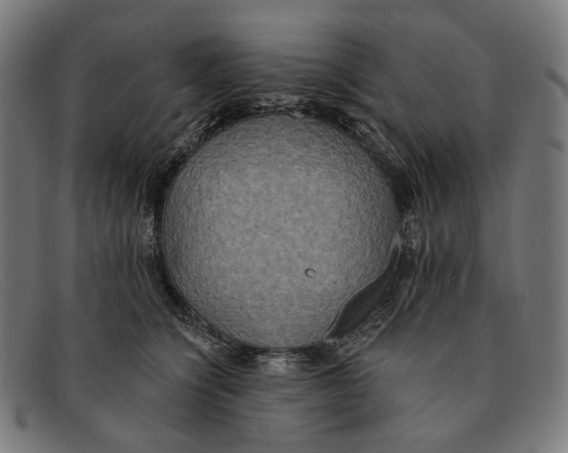 X0000091460564200709131736